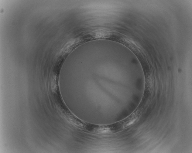 X0000075860554200609221758