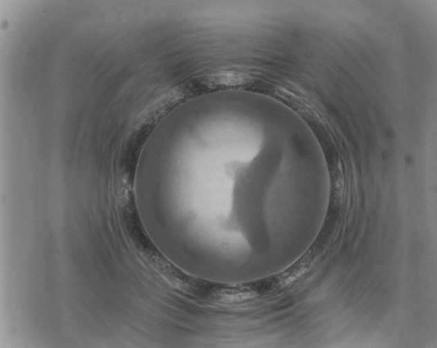 X0000075860555200609221758