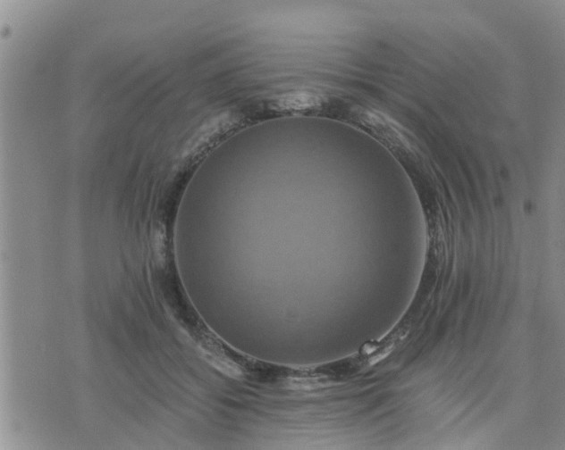 X0000075860556200609221758