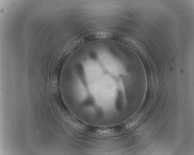 X0000075860557200609221758