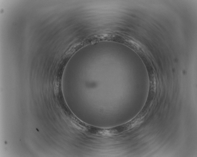 X0000075860558200609221758