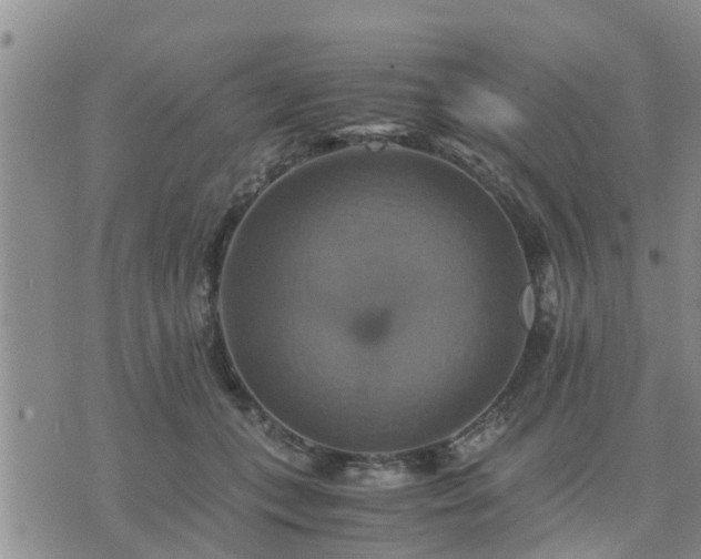 X0000075860559200609221758