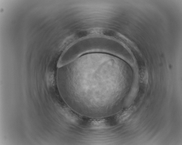 X0000075860560200609221758