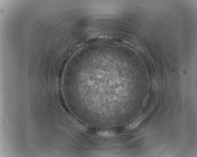 X0000075860561200609221758