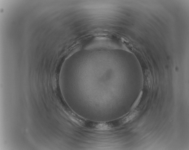 X0000075860562200609221758