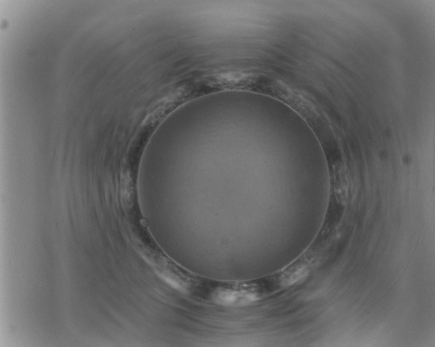 X0000075860563200609221758