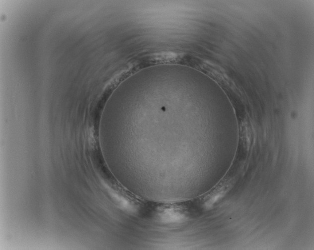 X0000075860564200609221758