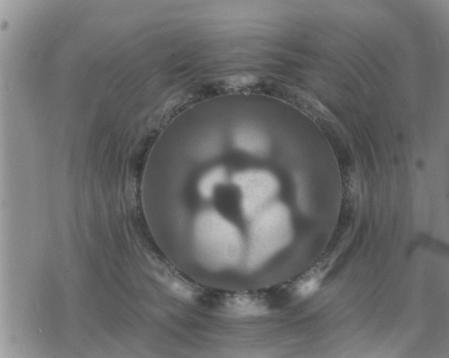 X0000075860565200609221758