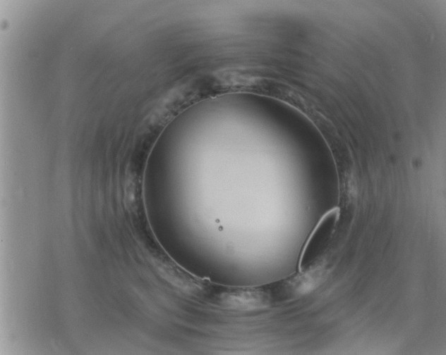 X0000075860567200609221758