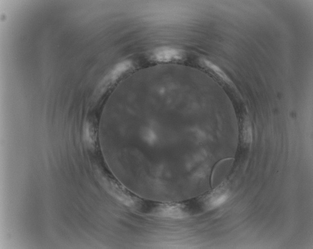 X0000075860569200609221758