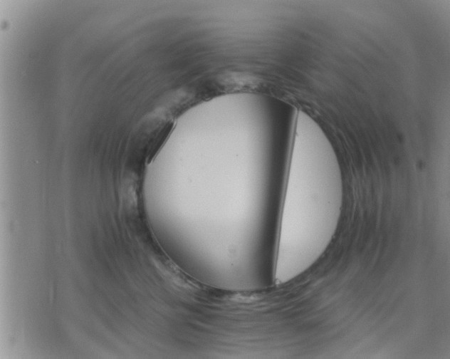 X0000075860570200609221758