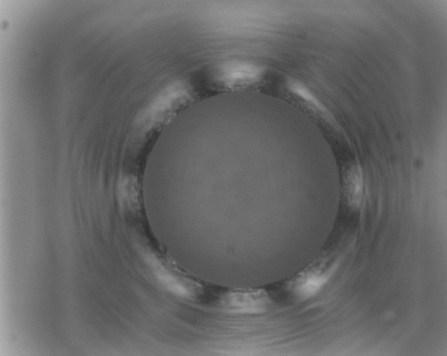 X0000075860571200609221758