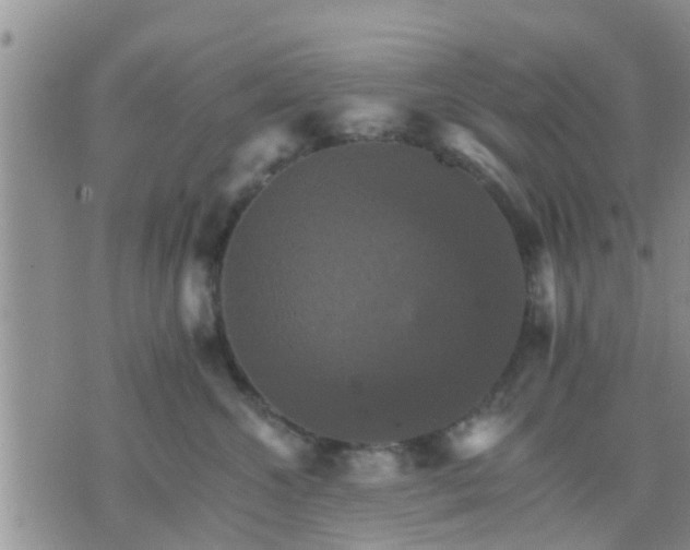 X0000075860572200609221758