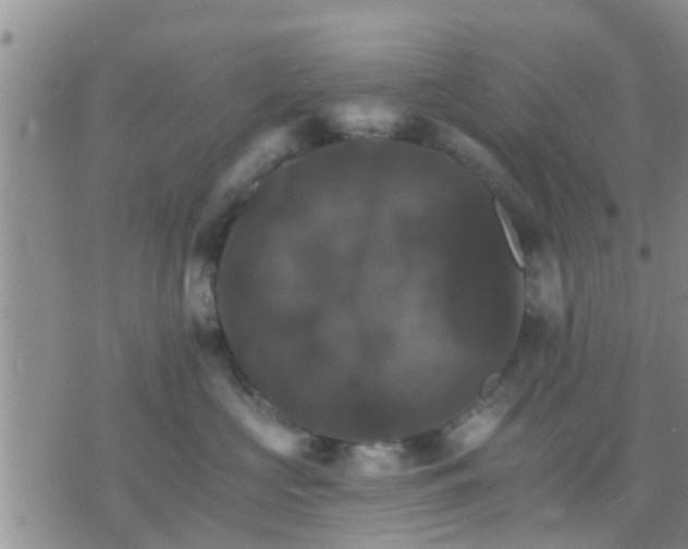 X0000075860573200609221758