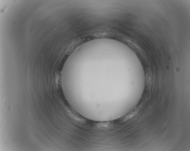 X0000075860574200609221758