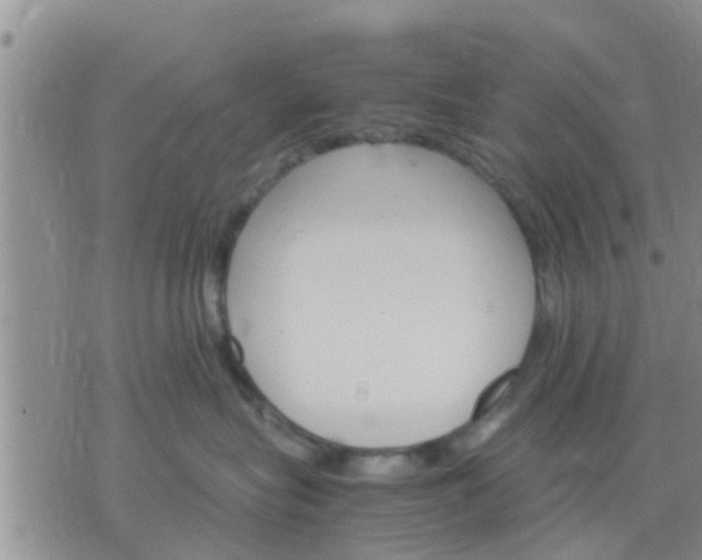 X0000075860575200609221758