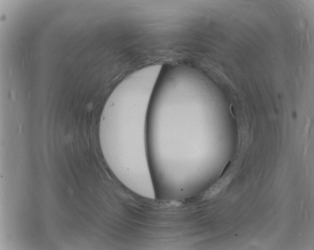 X0000075860576200609221758