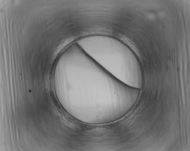 X0000075860578200609221758