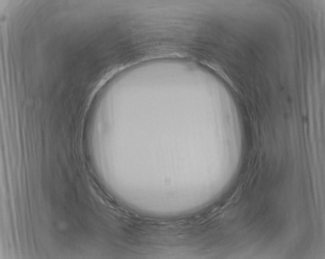 X0000075860579200609221758