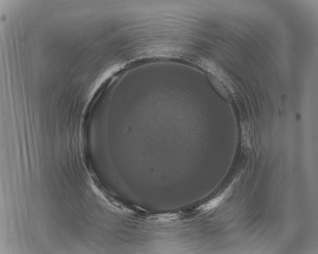 X0000075860580200609221758