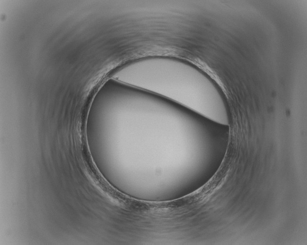 X0000075860581200609221758