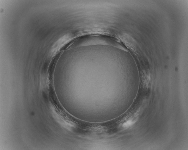 X0000075860583200609221758