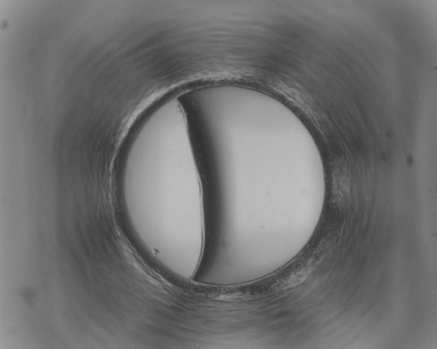 X0000075860584200609221758