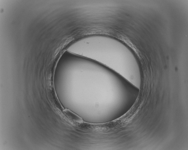 X0000075860585200609221758