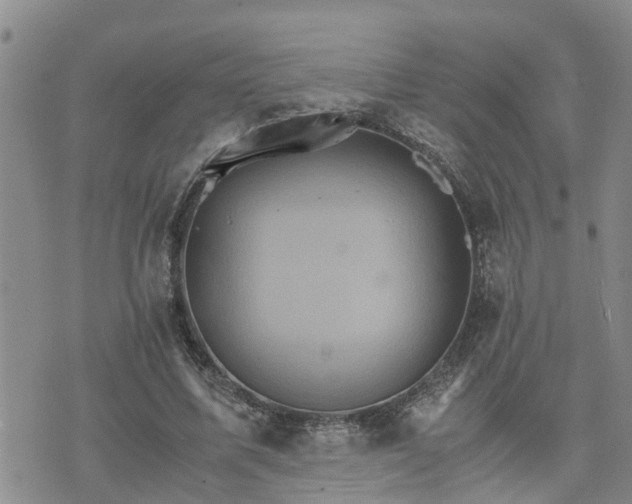 X0000075860587200609221757