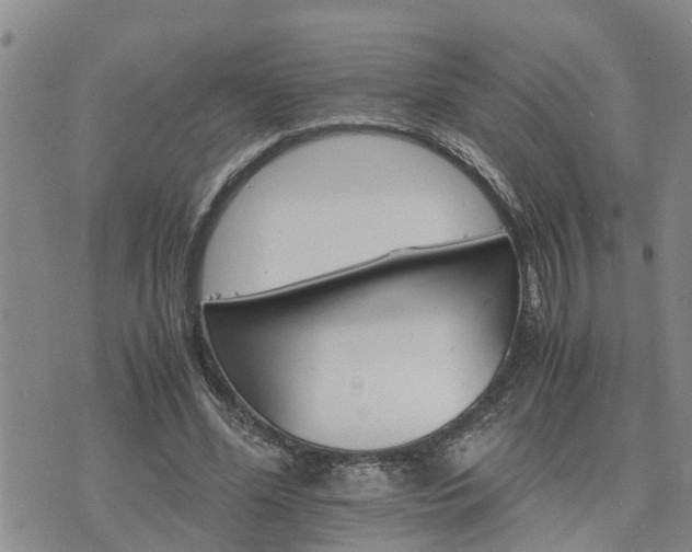 X0000075860588200609221757