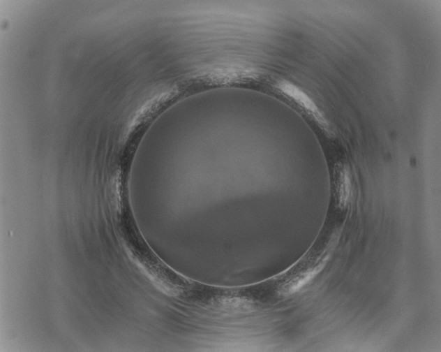 X0000075860590200609221757