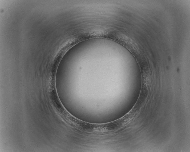 X0000075860591200609221757