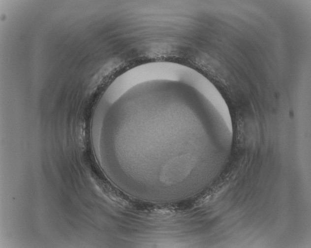 X0000075860592200609221757