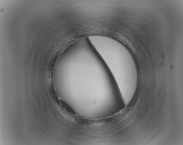 X0000075860593200609221757