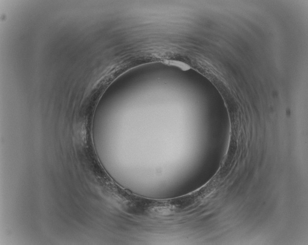 X0000075860595200609221757