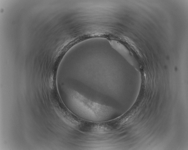 X0000075860596200609221757