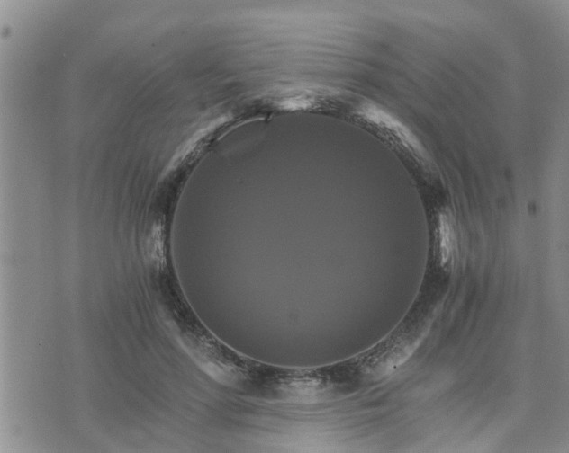 X0000075860598200609221757