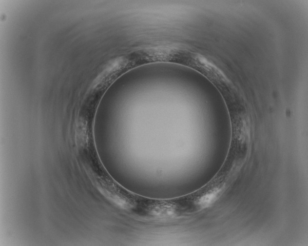 X0000075860599200609221757