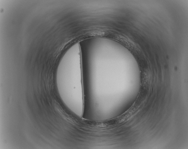 X0000075860600200609221757