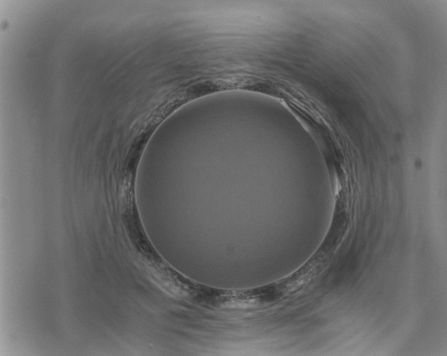 X0000075860601200609221757