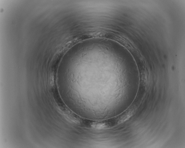 X0000075860602200609221757