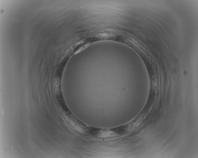 X0000075860605200609221757