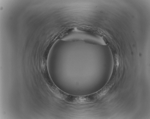 X0000075860607200609221757