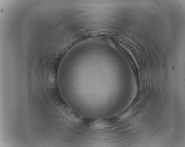 X0000075860608200609221757