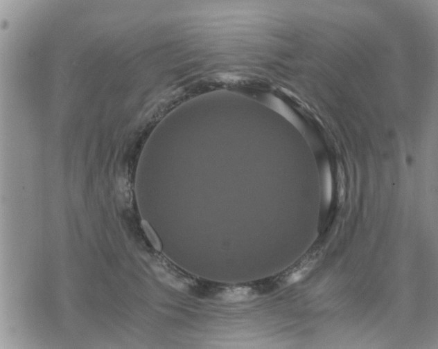 X0000075860609200609221757