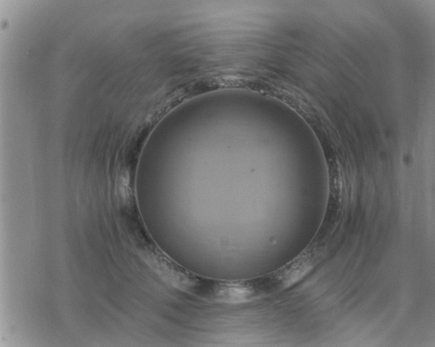 X0000075860610200609221757