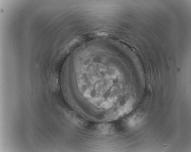 X0000075860615200609221757