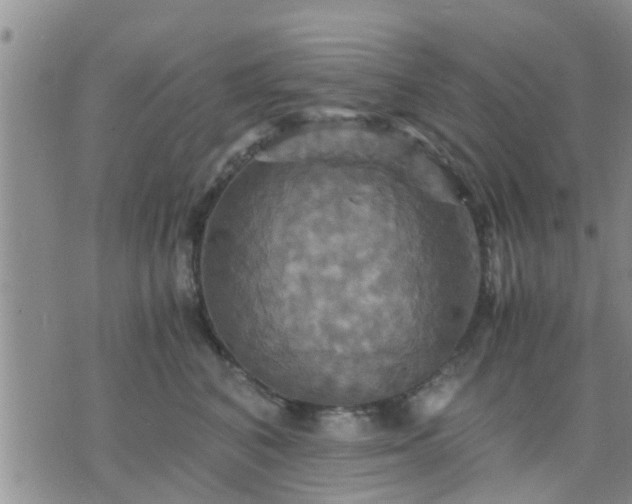 X0000075860616200609221757