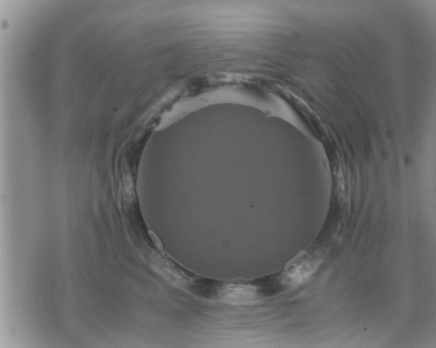 X0000075860617200609221757