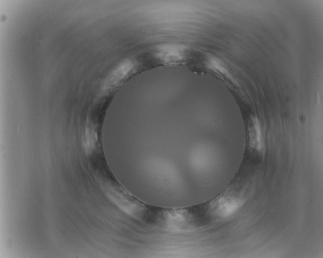 X0000075860618200609221757